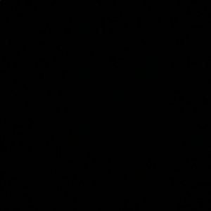 Meet your Posher, Raleigh